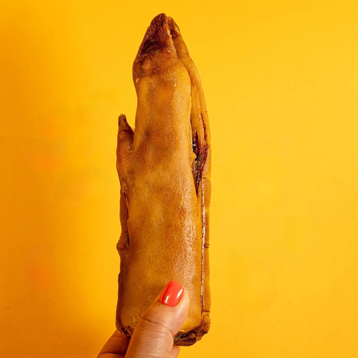 Pork Trotters Chews for Dogs - Dehydrated