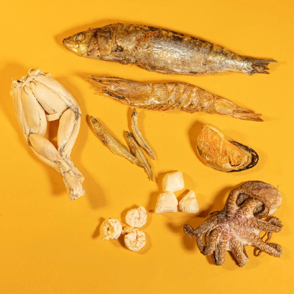 Freeze-Dried Seafood Variety Treat Bag for Dogs
