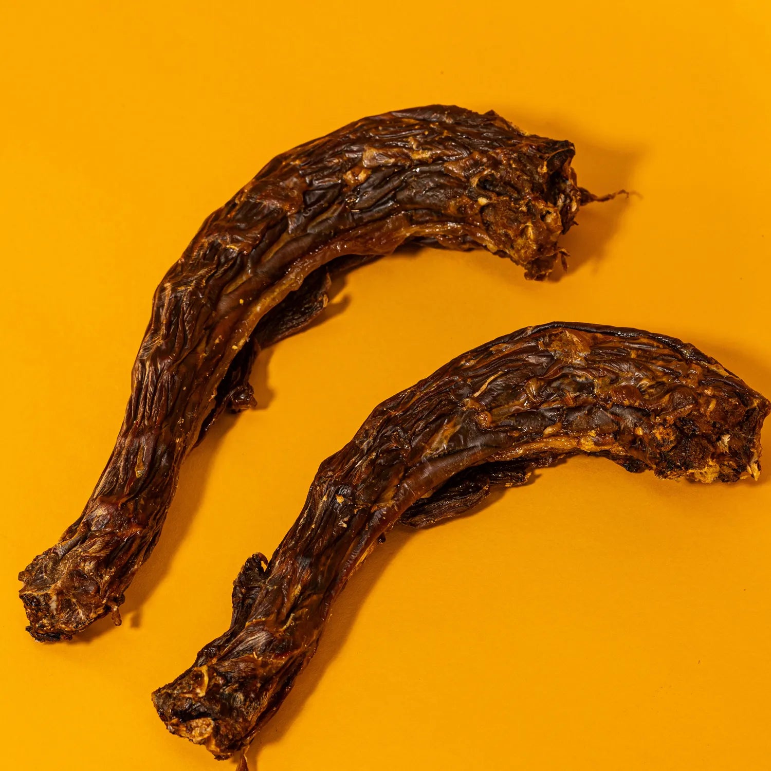Turkey Neck - Giant XL Dehydrated Chew For Dogs