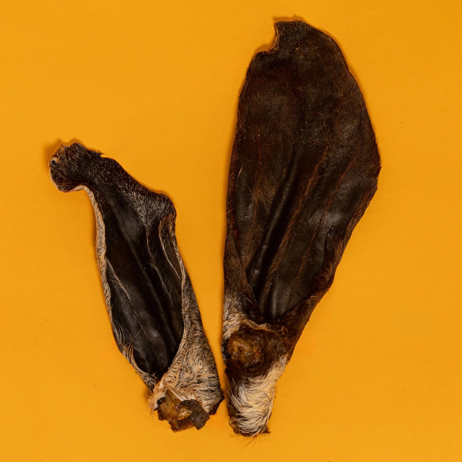 Goat Hairy Ear Chew for Dogs – Limited