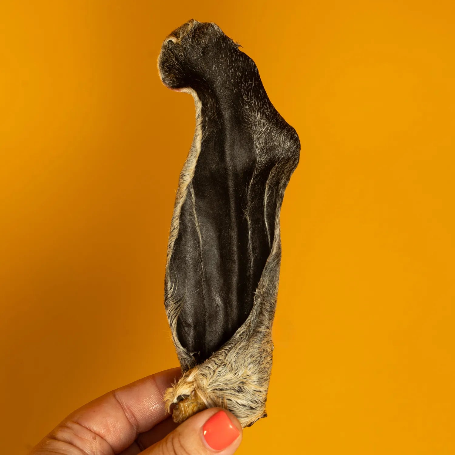 Goat Hairy Ear Chew for Dogs – Limited