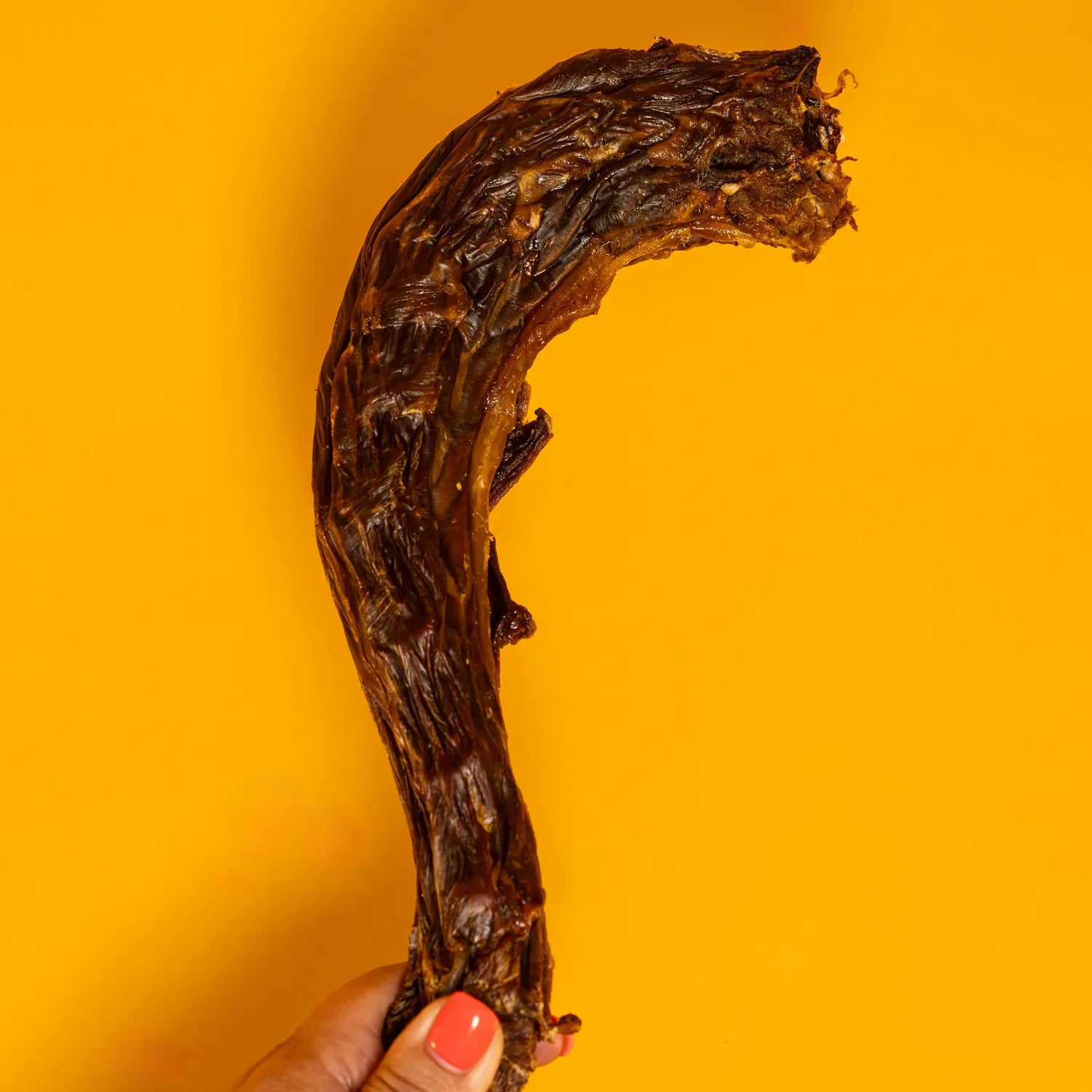 Turkey Neck - Giant XL Dehydrated Chew For Dogs