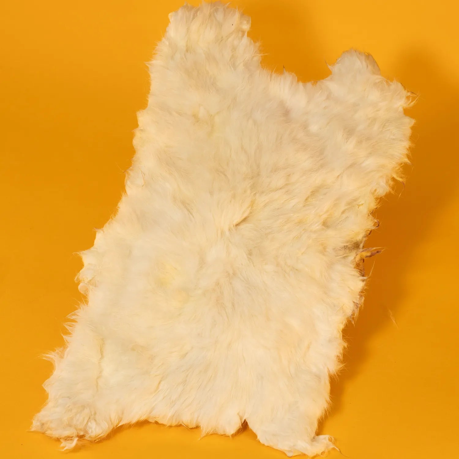Rabbit Hide - Dehydrated Chew/Treat for Dogs & Cats (Natural Enrichment Edible Mat)