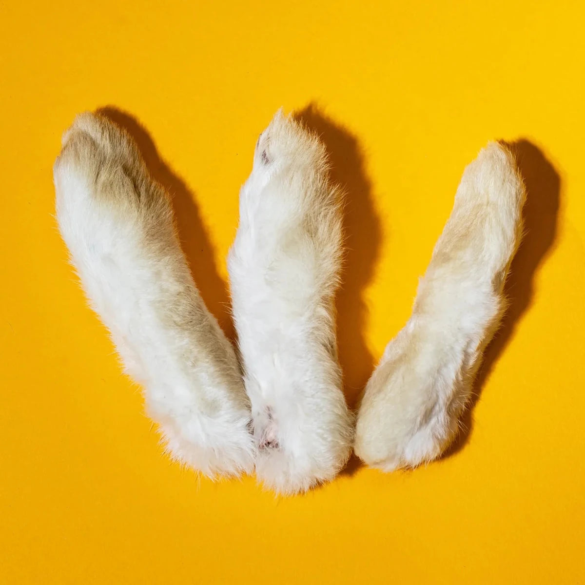 Freeze-Dried Rabbit Back Feet Large Treats for Dogs & Cats - Individual - Golden Nibbles