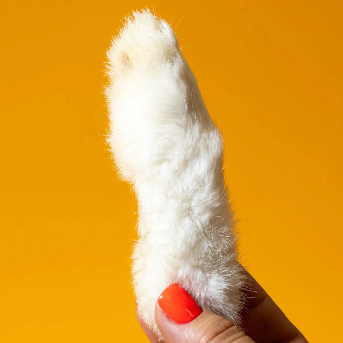 Freeze-Dried Rabbit Back Feet Large Treats for Dogs & Cats - Individual - Golden Nibbles
