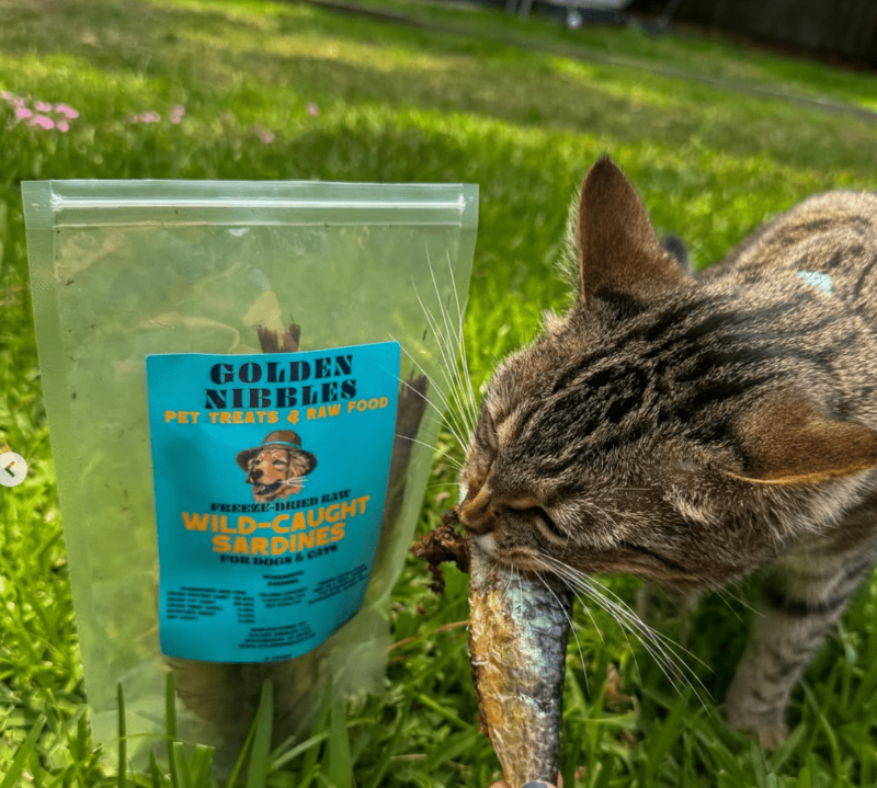 Freeze-Dried Sardines