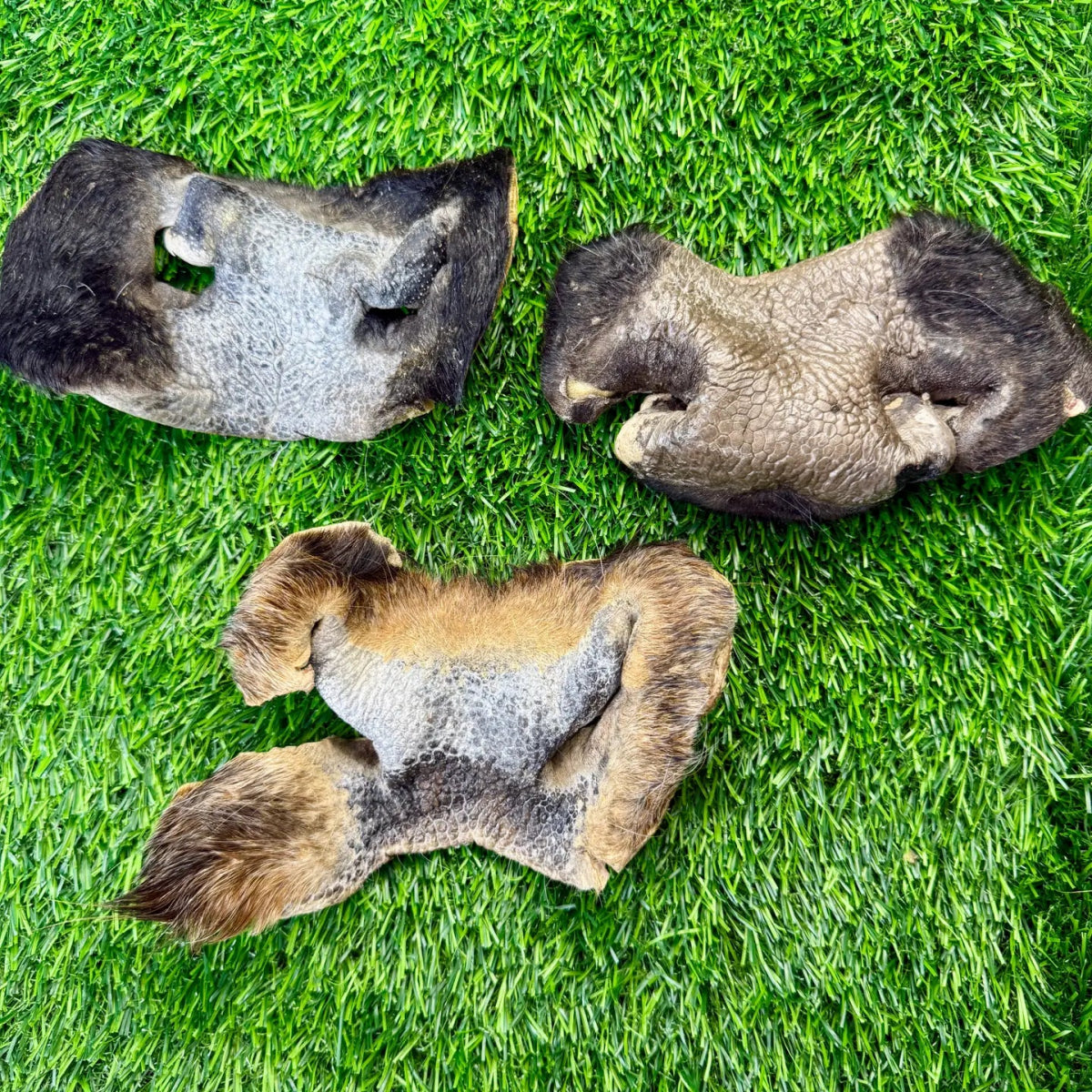 Freeze-Dried Beef Cow Hairy Snout Chew for Dogs