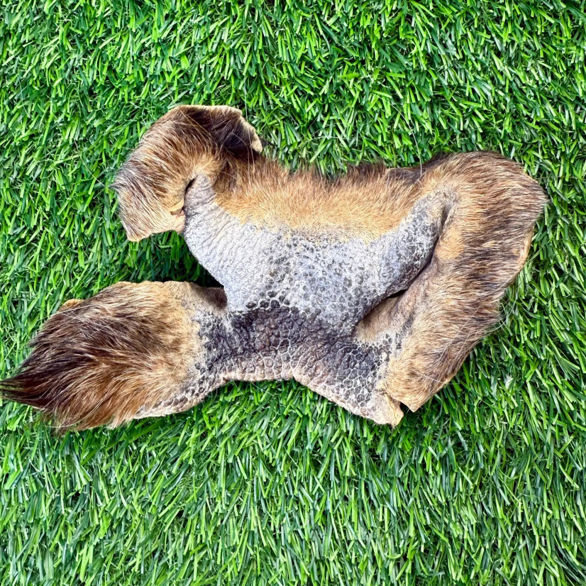 Freeze-Dried Beef Cow Hairy Snout Chew for Dogs