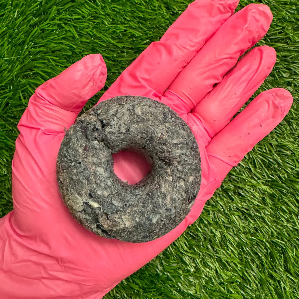 Freeze-Dried Donut - Duck & Spirulina