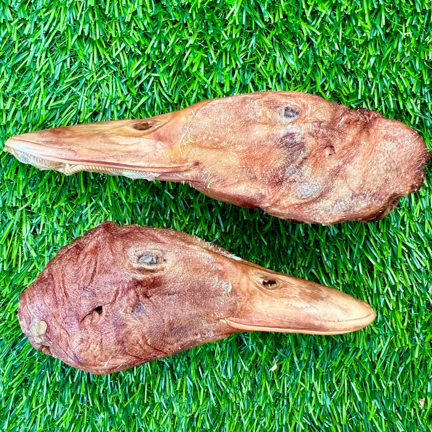 Duck Heads