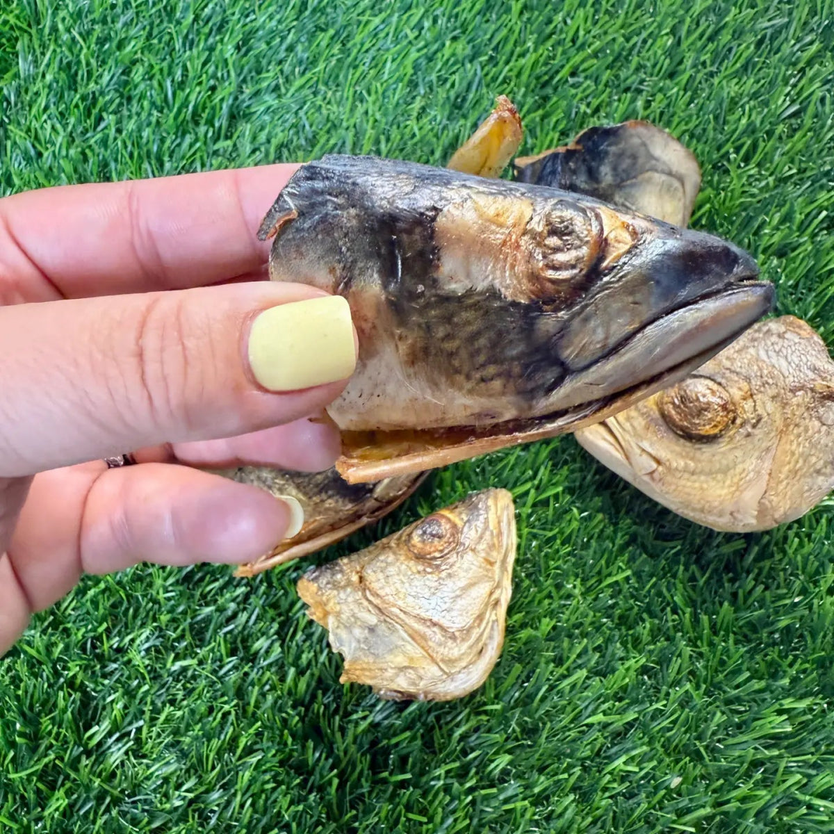 Freeze-Dried Fish Heads