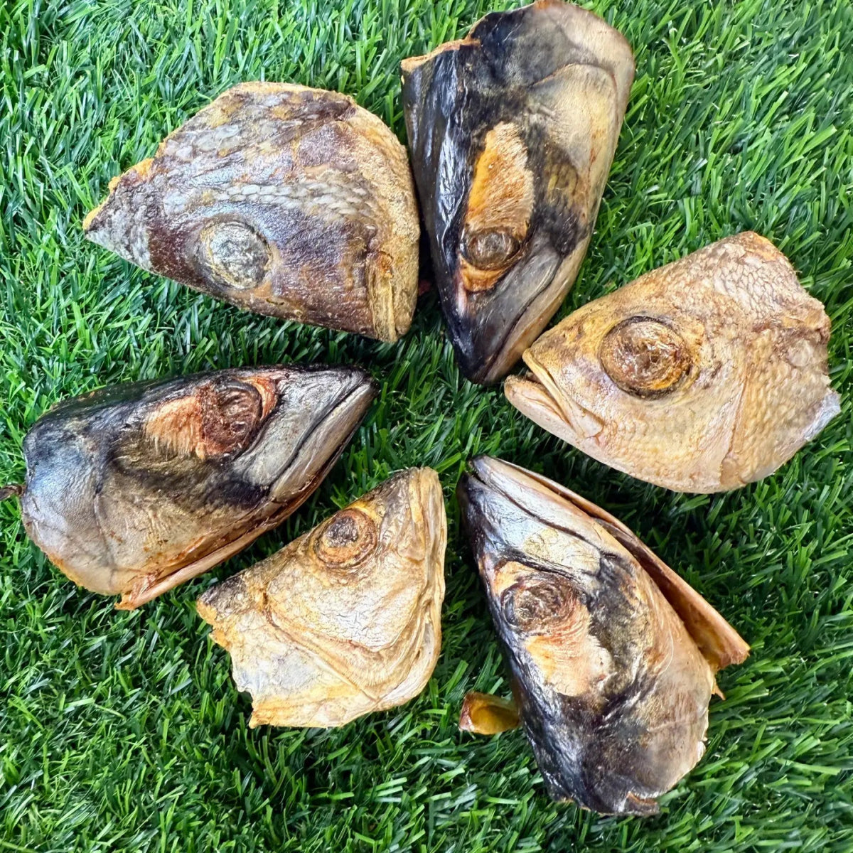 Freeze-Dried Fish Heads