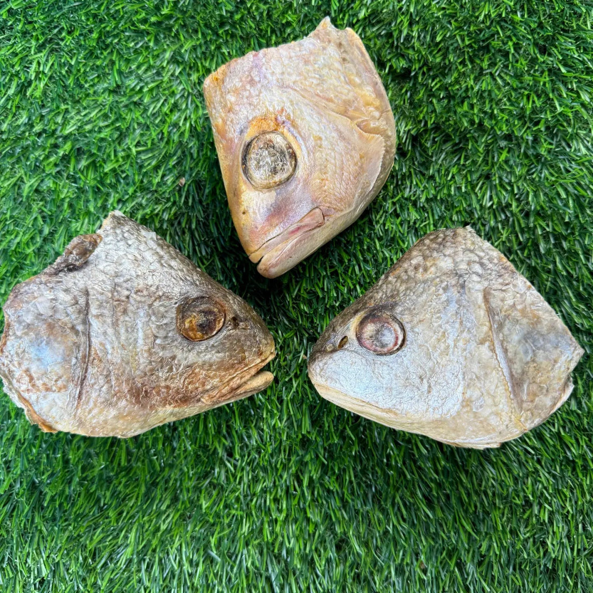 Freeze-Dried Fish Heads