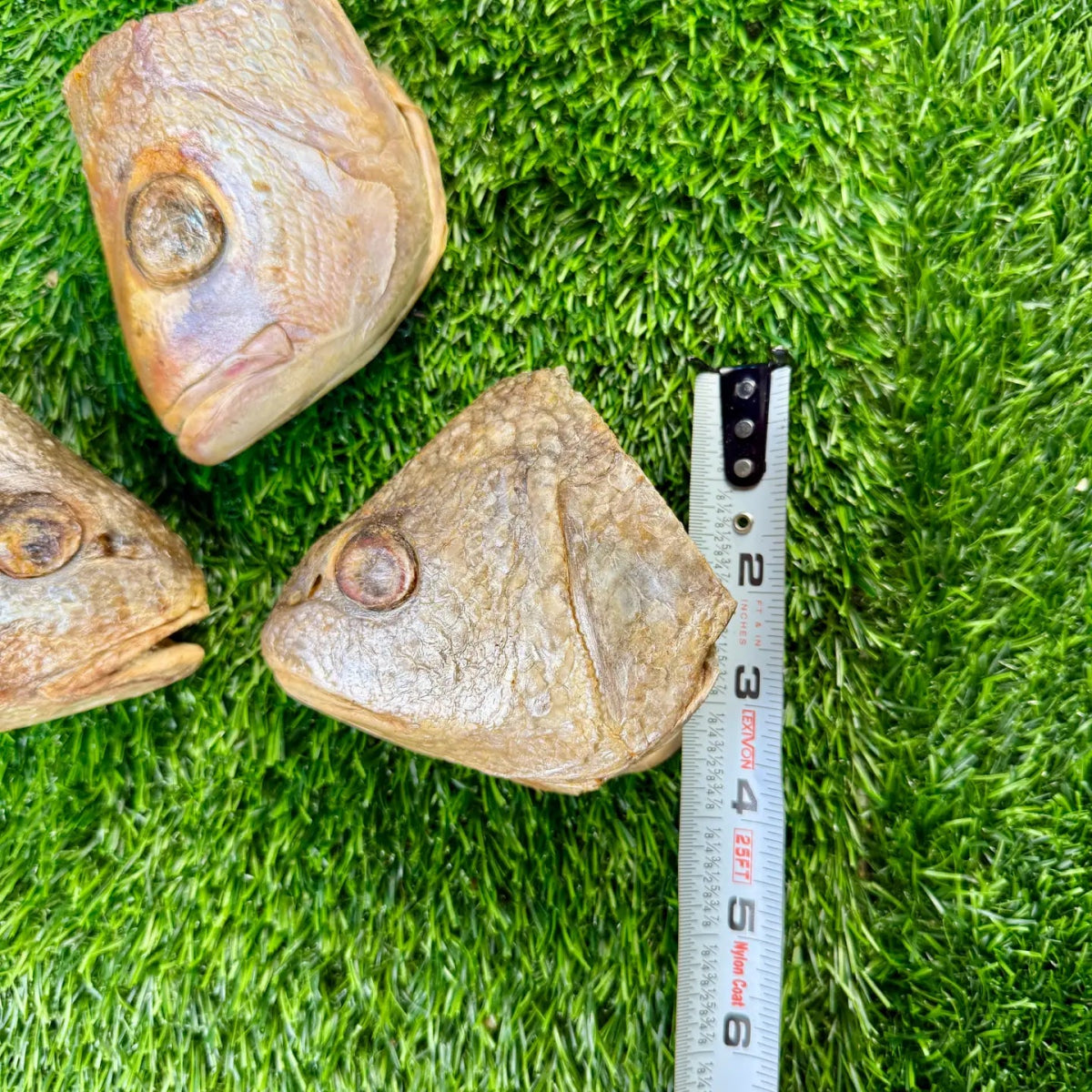 Freeze-Dried Fish Heads