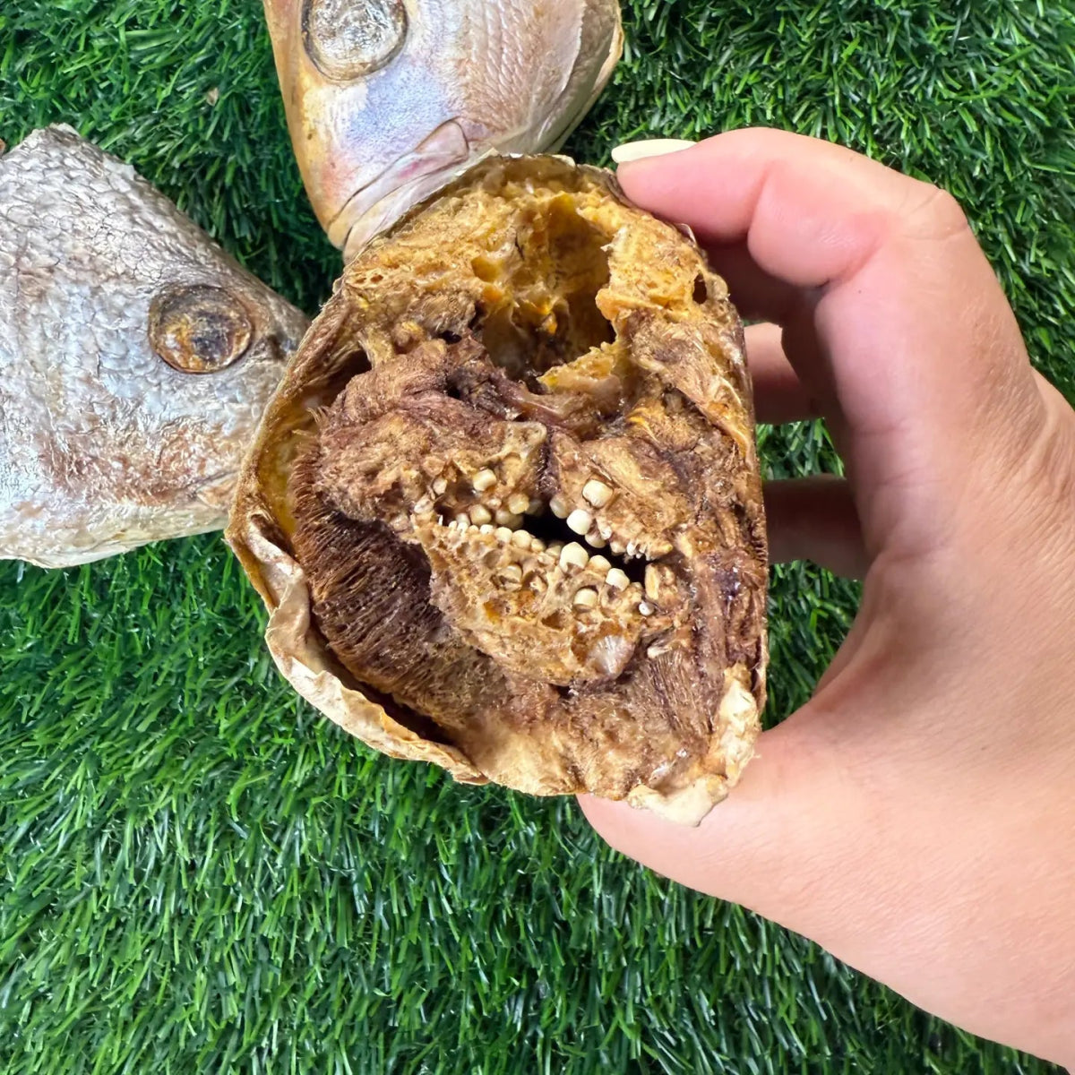 Freeze-Dried Fish Heads