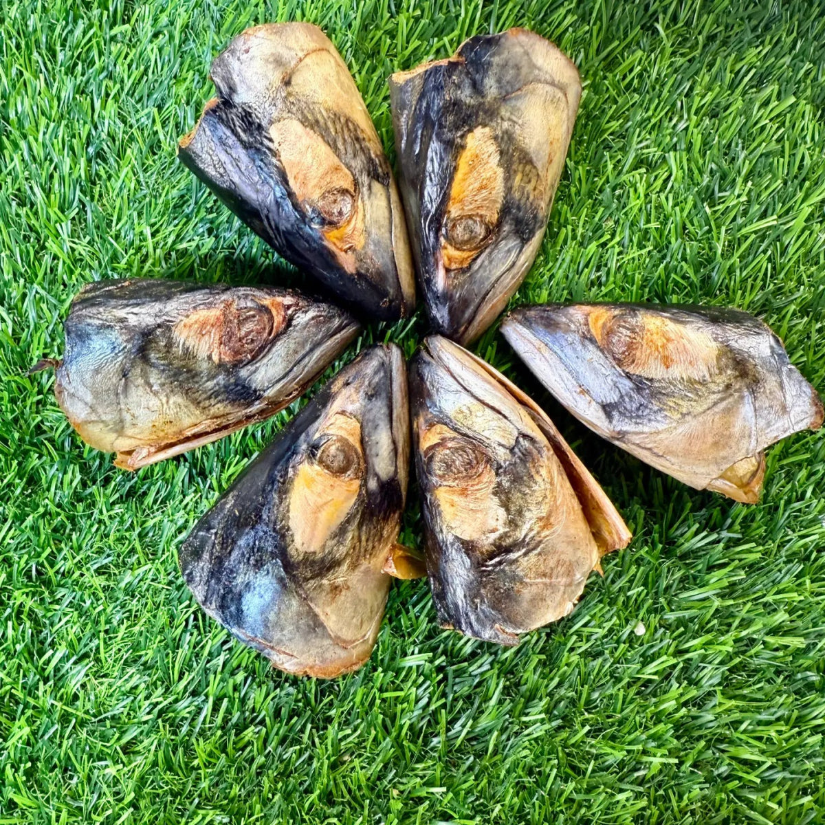 Freeze-Dried Fish Heads