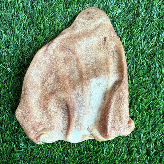 Pig Ear