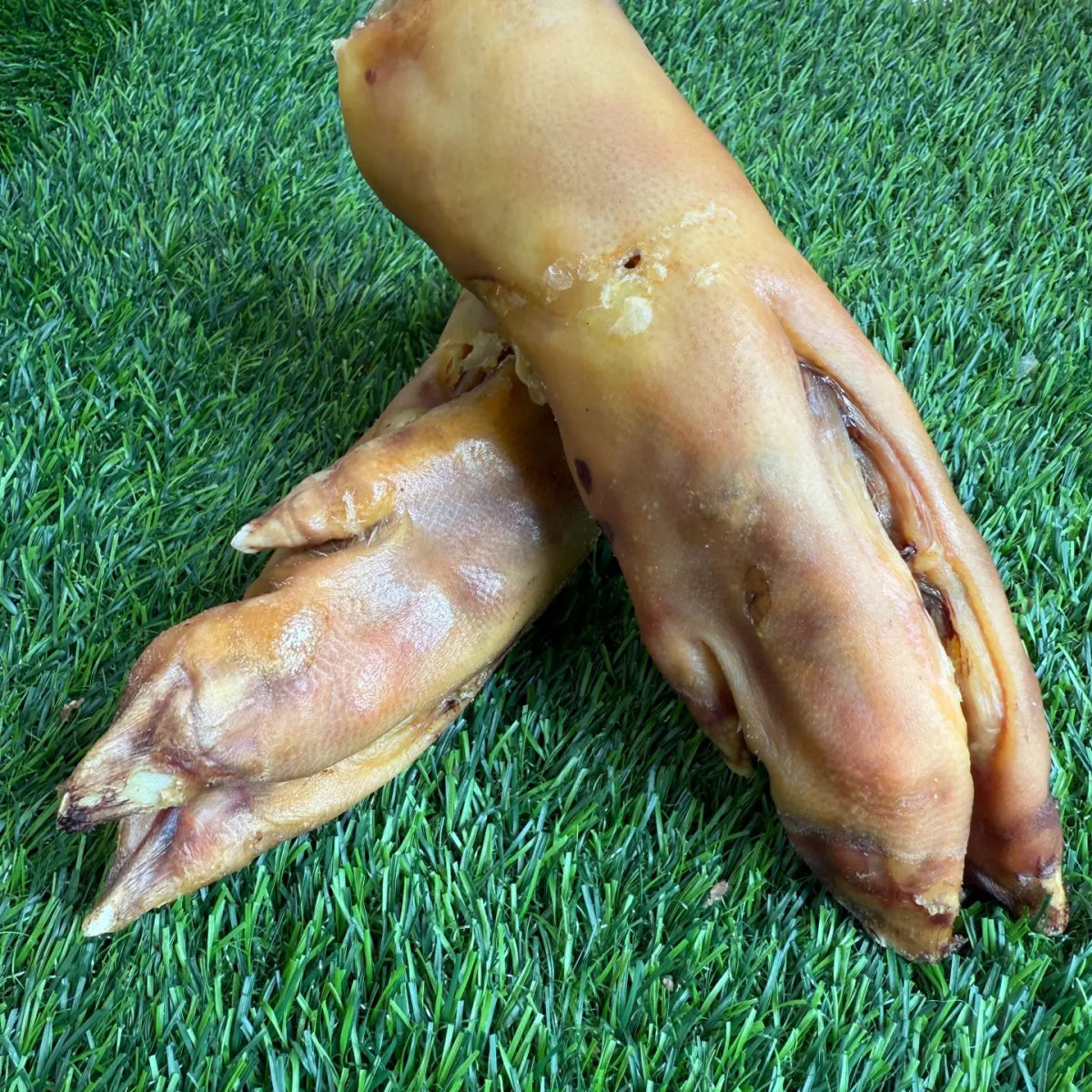 Freeze-Dried Pork trotter - For Heavy Chewers