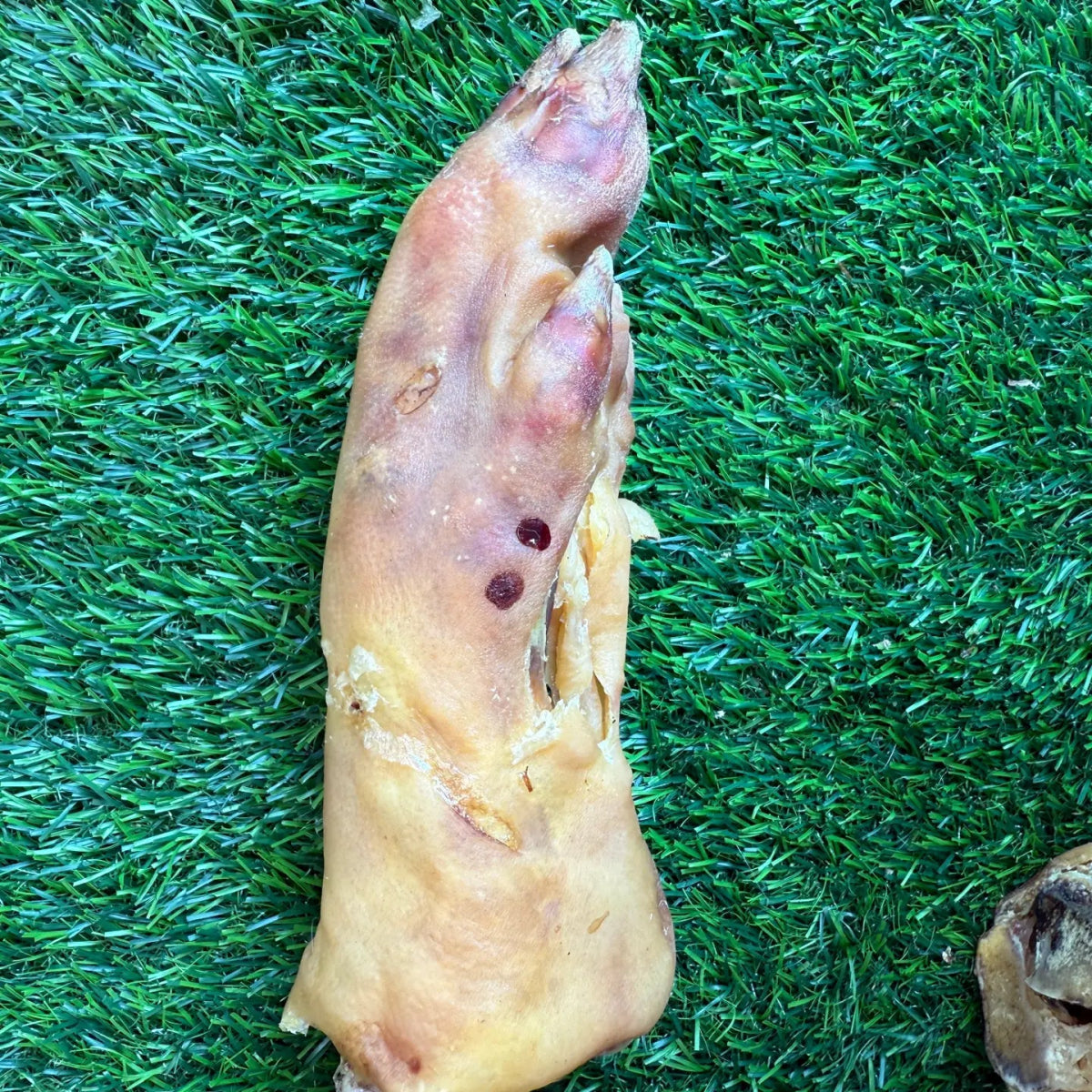 Pork trotter - For Heavy Chewers