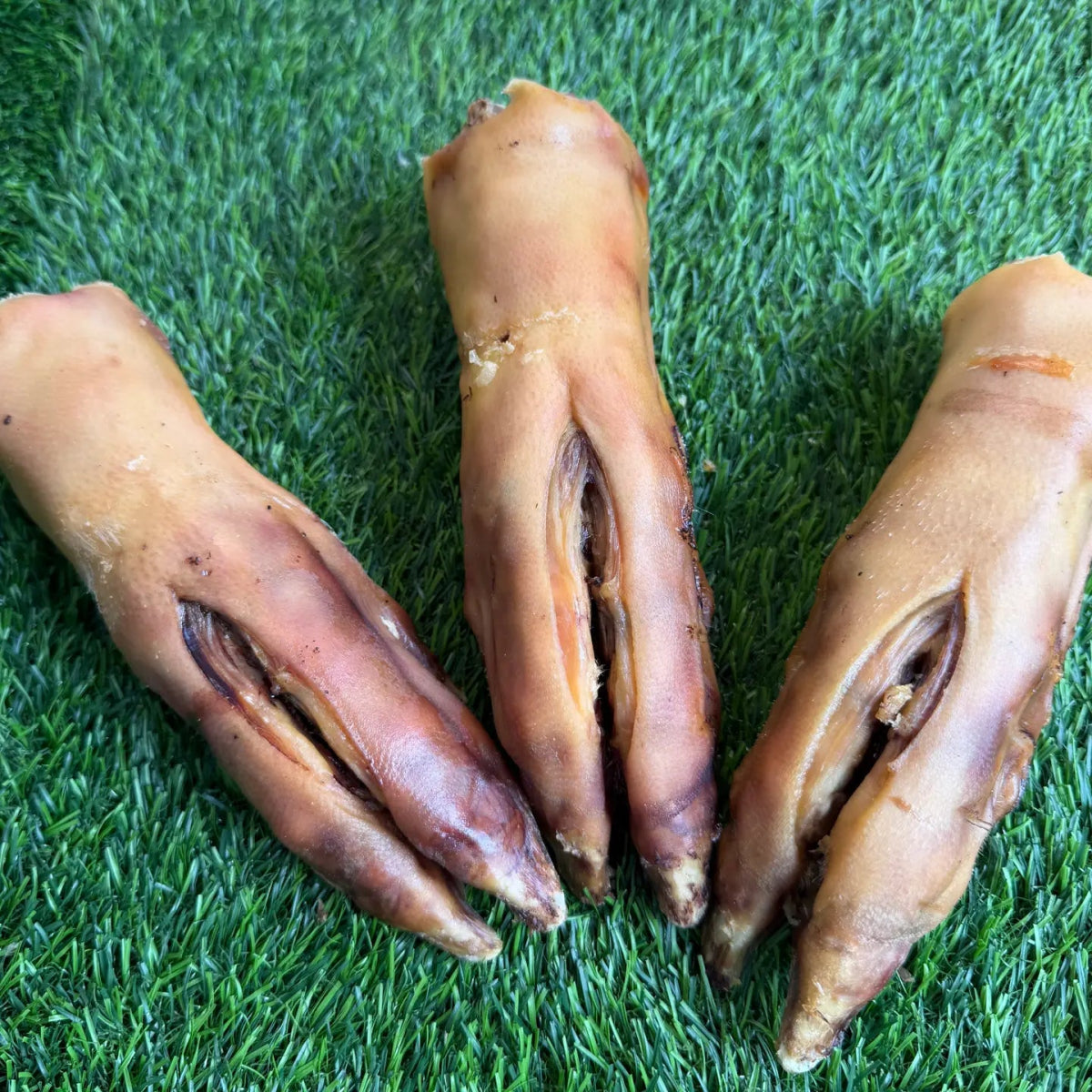 Freeze-Dried Pork trotter - For Heavy Chewers