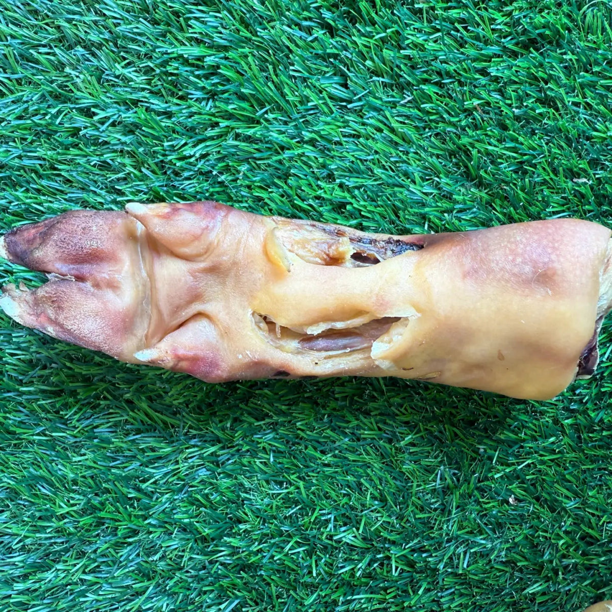 Freeze-Dried Pork trotter - For Heavy Chewers