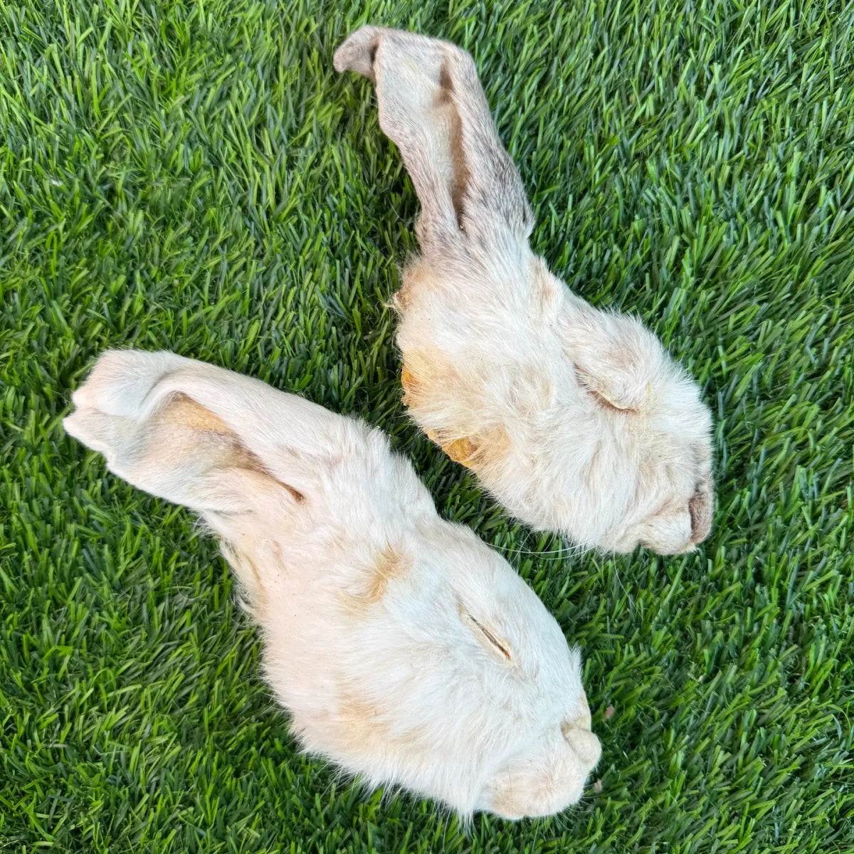 Freeze-Dried Rabbit Half Head