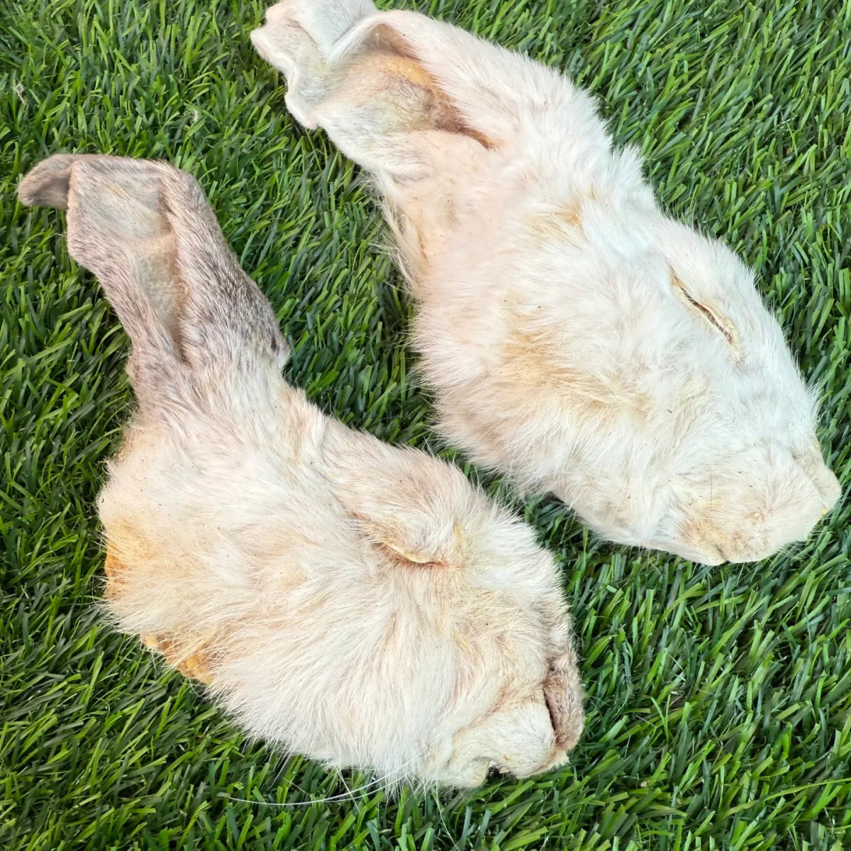 Freeze-Dried Rabbit Half Head