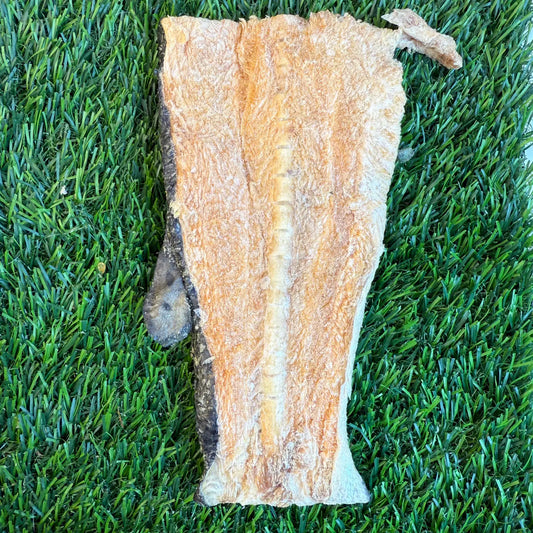 Salmon Back