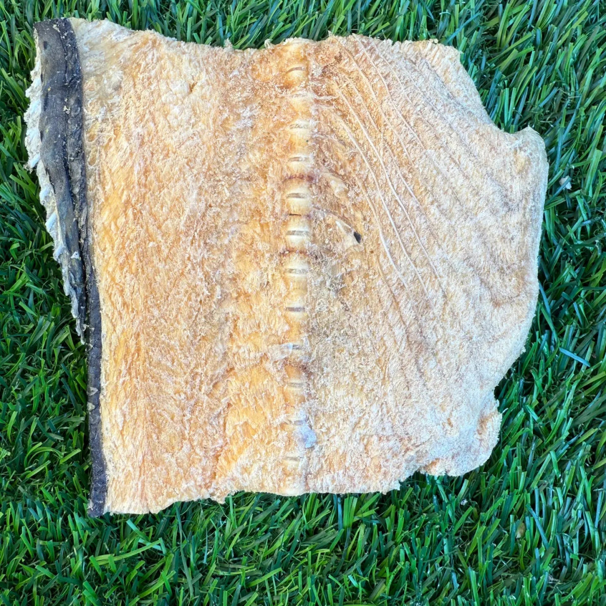 Freeze-Dried Salmon Backs