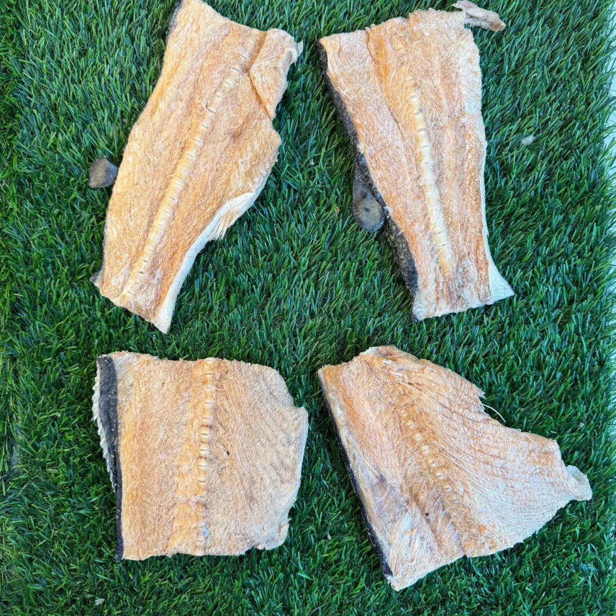 Freeze-Dried Salmon Backs