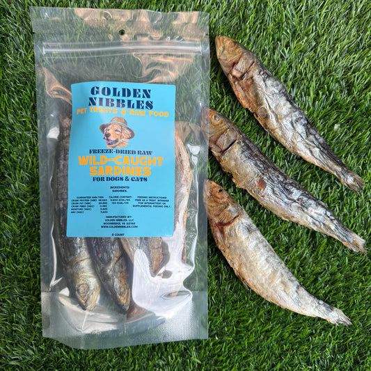 Sardines